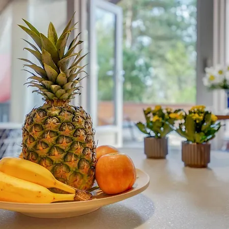 Runulf - 2-9km From The Sea By Interhome Hébergement de vacances Kongsmark